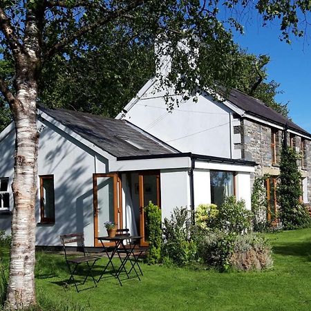 Nant Yr Onnen B&B And Holiday Cottage Tregaron Ngoại thất bức ảnh