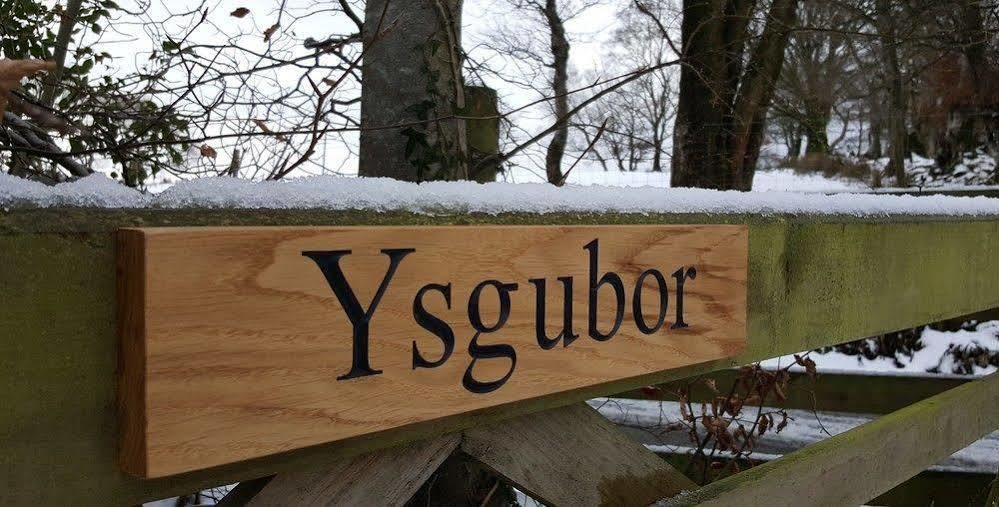Nant Yr Onnen B&B And Holiday Cottage Tregaron Ngoại thất bức ảnh