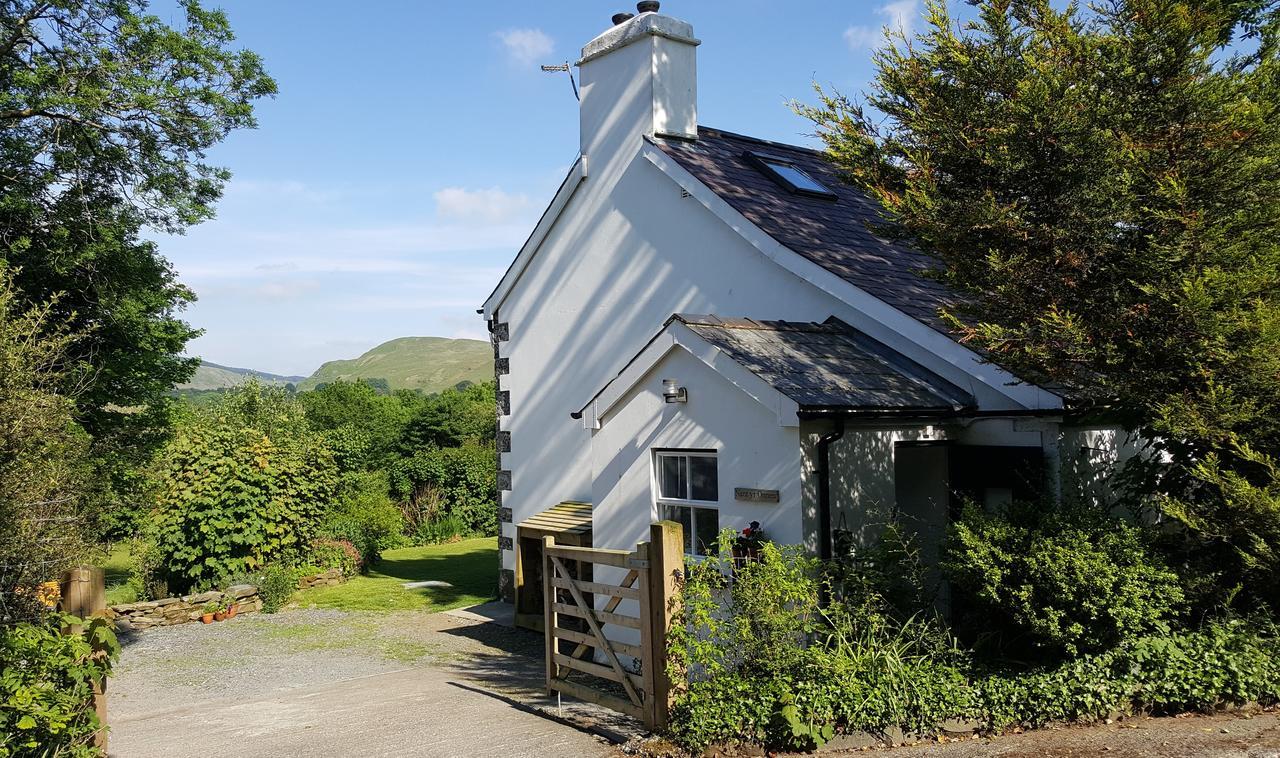 Nant Yr Onnen B&B And Holiday Cottage Tregaron Ngoại thất bức ảnh