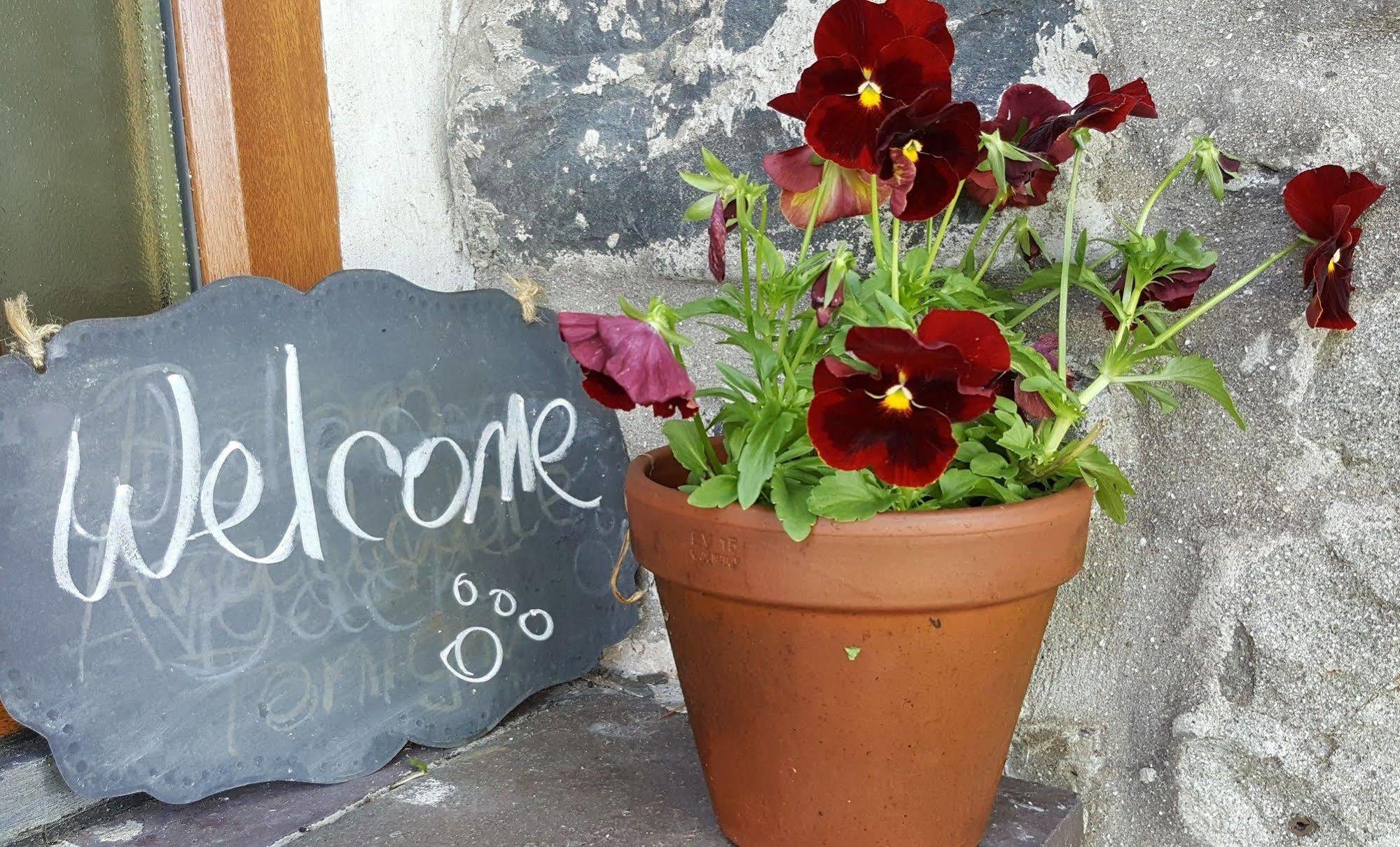 Nant Yr Onnen B&B And Holiday Cottage Tregaron Ngoại thất bức ảnh