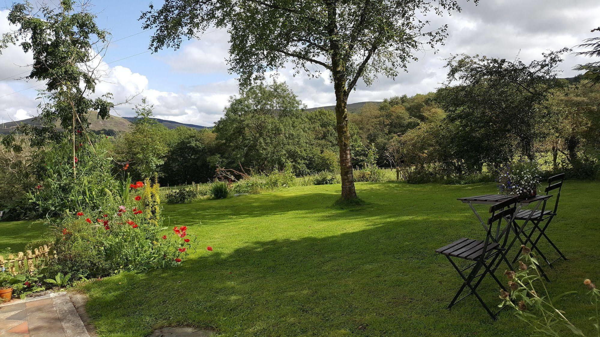Nant Yr Onnen B&B And Holiday Cottage Tregaron Ngoại thất bức ảnh