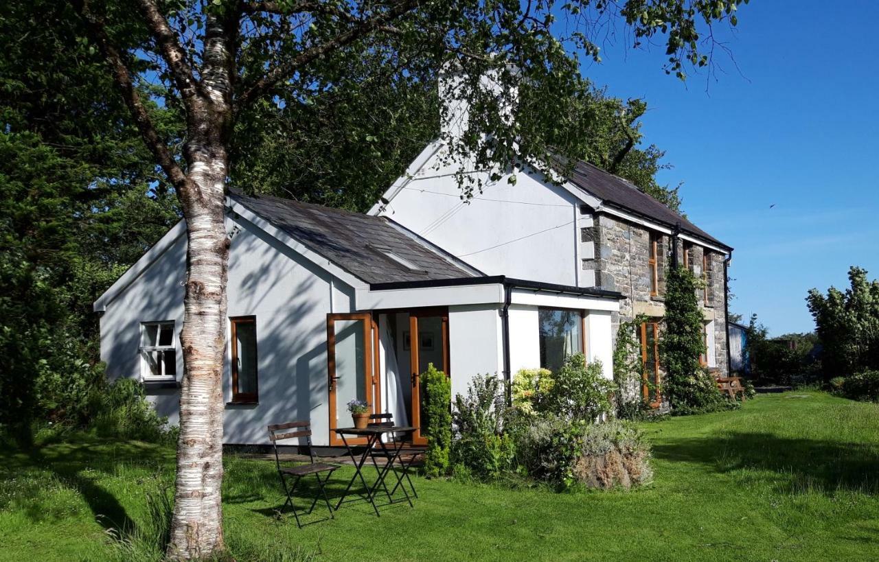 Nant Yr Onnen B&B And Holiday Cottage Tregaron Ngoại thất bức ảnh