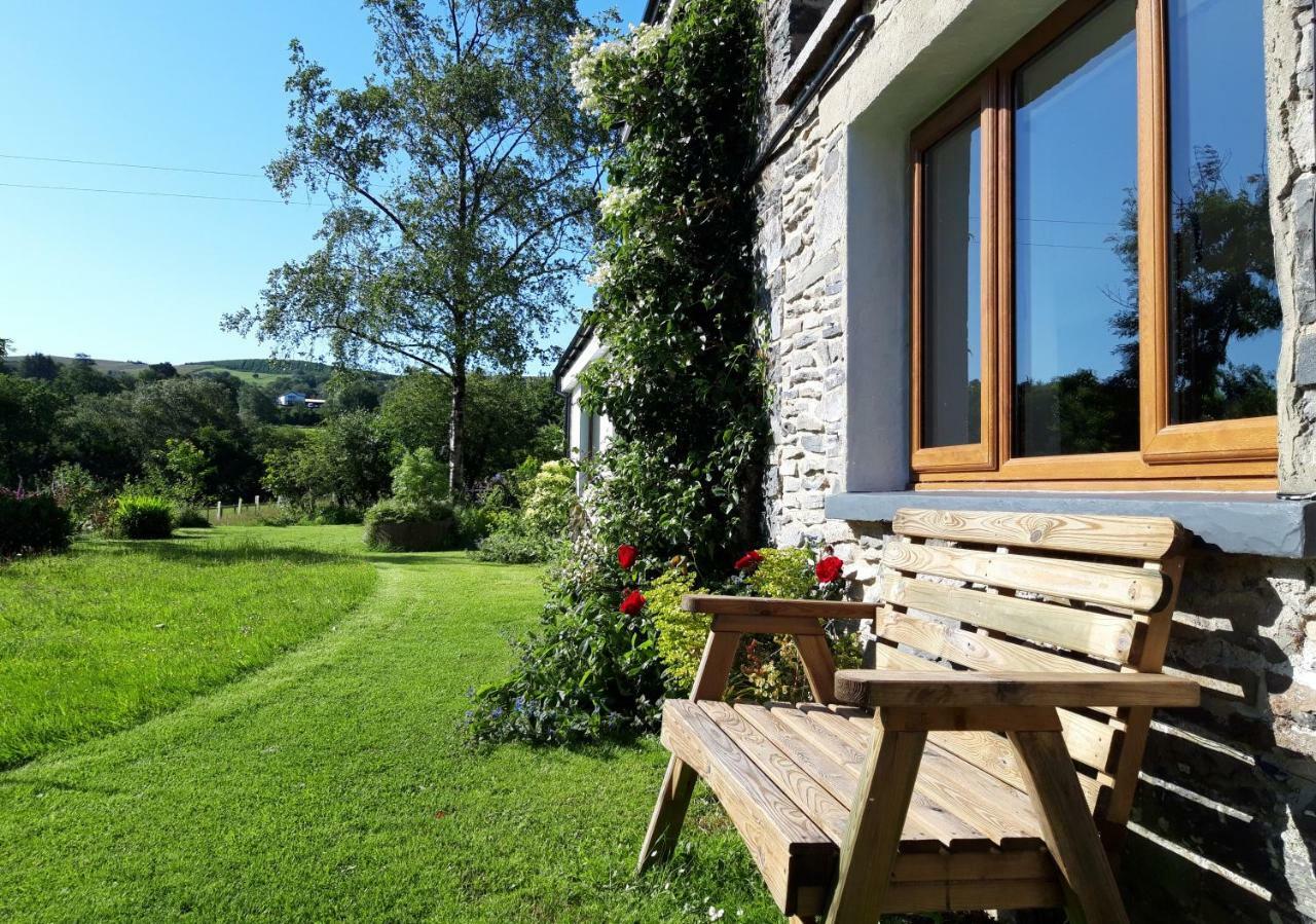 Nant Yr Onnen B&B And Holiday Cottage Tregaron Ngoại thất bức ảnh